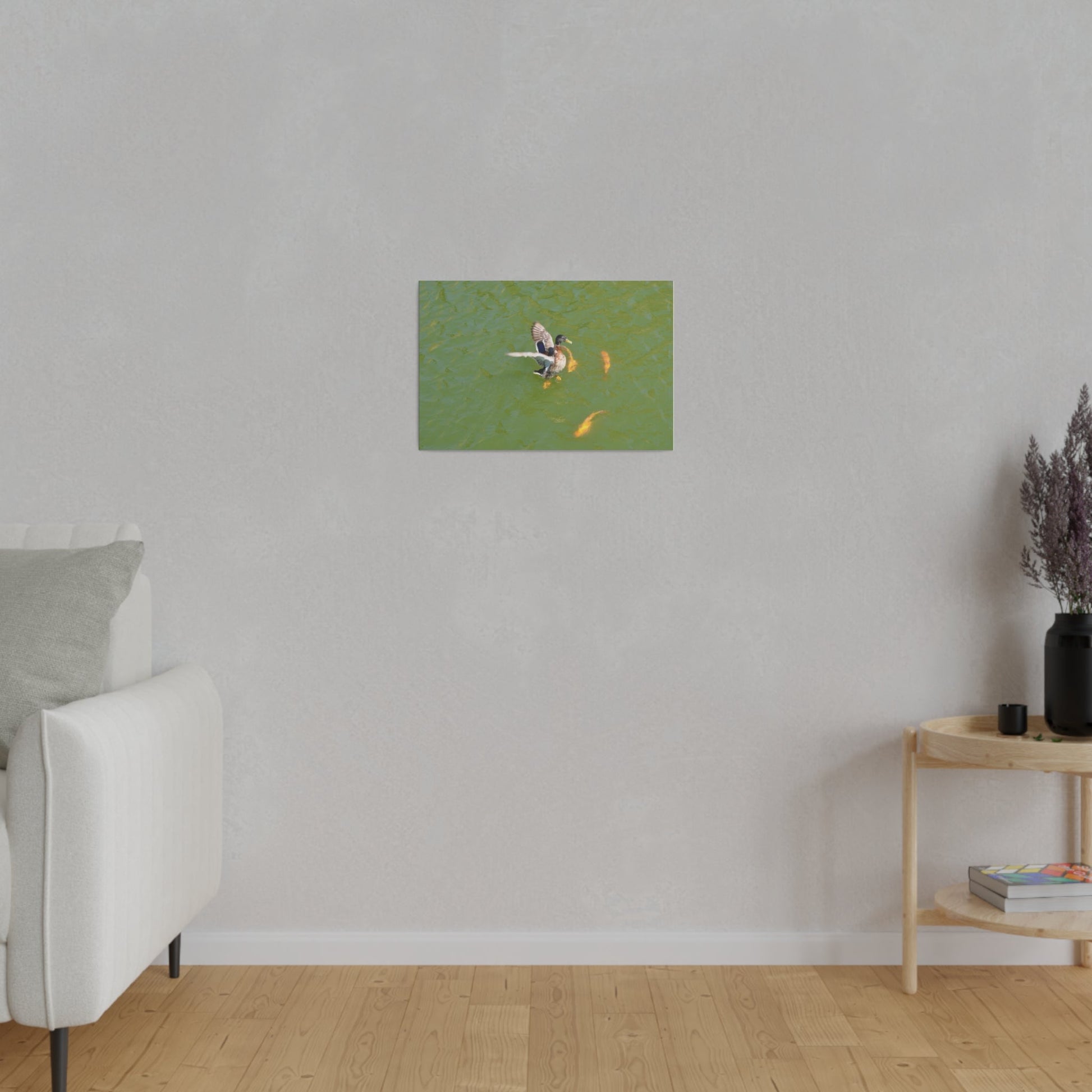Male Duck Flapping It's Wings And Fish Canvas - The Trio Synergize Group