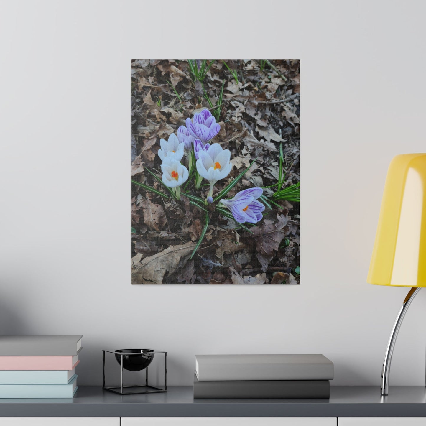 Mixed Colour Crocuses, Matte Canvas, Stretched, 0.75" - The Trio Synergize Group