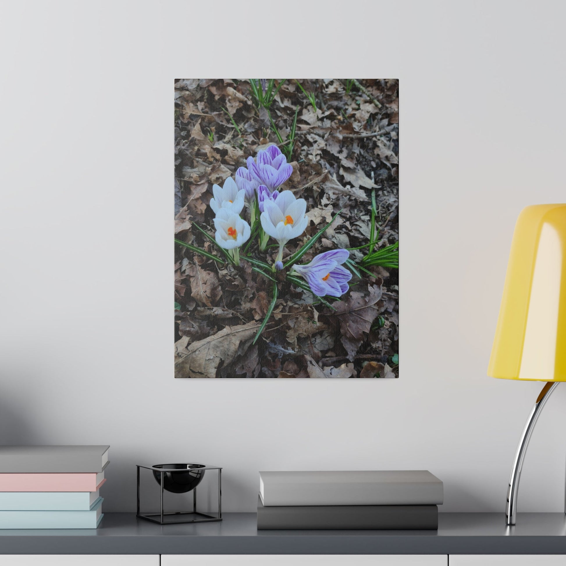 Mixed Colour Crocuses, Matte Canvas, Stretched, 0.75" - The Trio Synergize Group