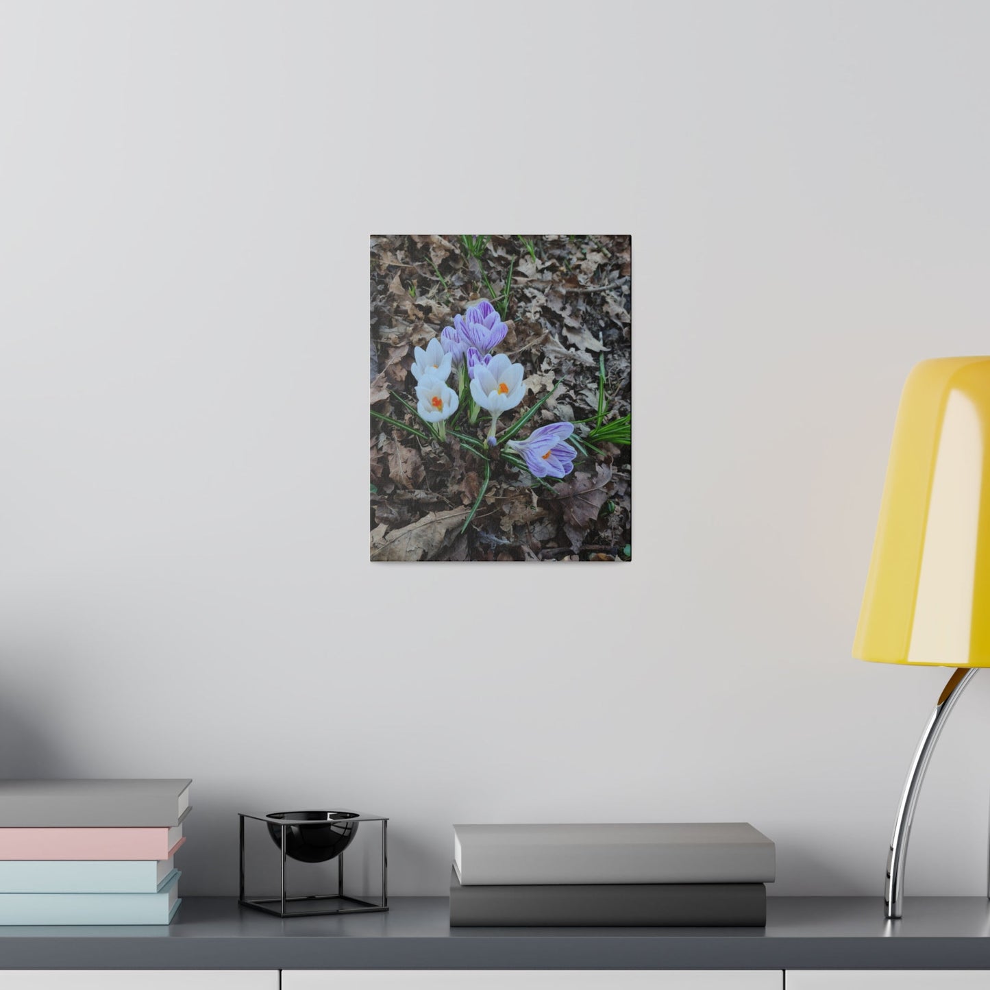 Mixed Colour Crocuses, Matte Canvas, Stretched, 0.75" - The Trio Synergize Group