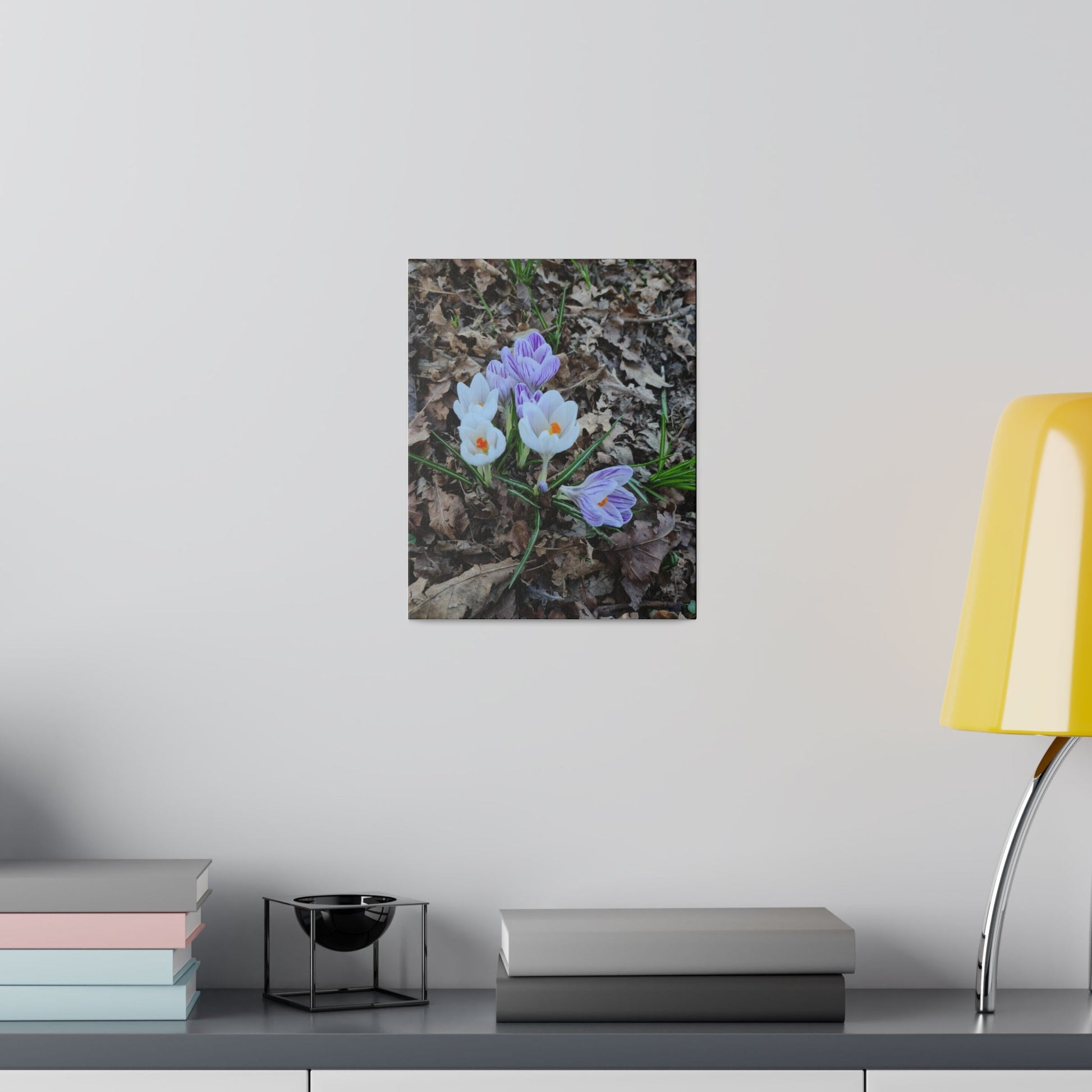 Mixed Colour Crocuses, Matte Canvas, Stretched, 0.75" - The Trio Synergize Group