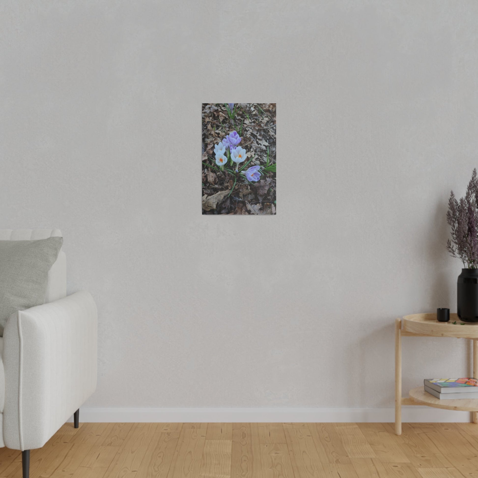 Mixed Colour Crocuses, Matte Canvas, Stretched, 0.75" - The Trio Synergize Group