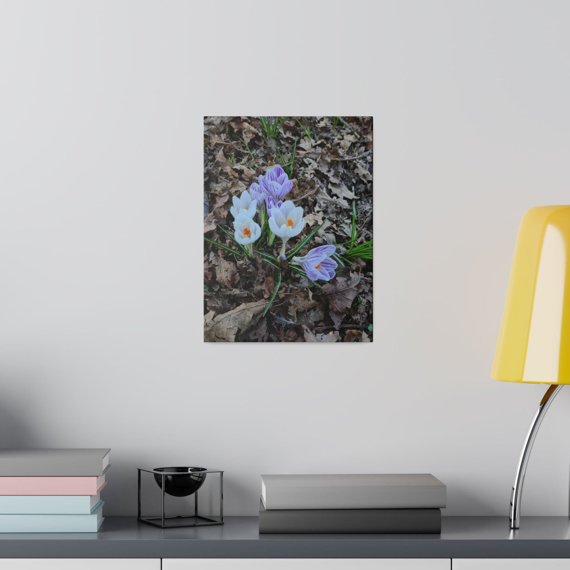 Mixed Colour Crocuses, Matte Canvas, Stretched, 0.75" - The Trio Synergize Group