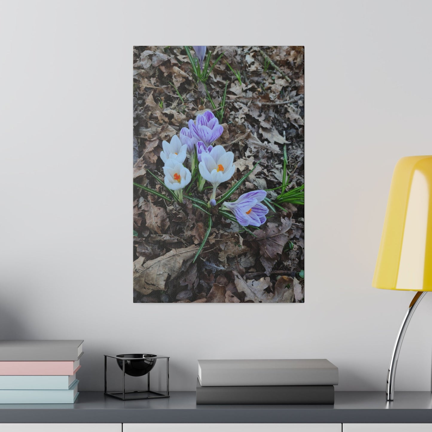 Mixed Colour Crocuses, Matte Canvas, Stretched, 0.75" - The Trio Synergize Group
