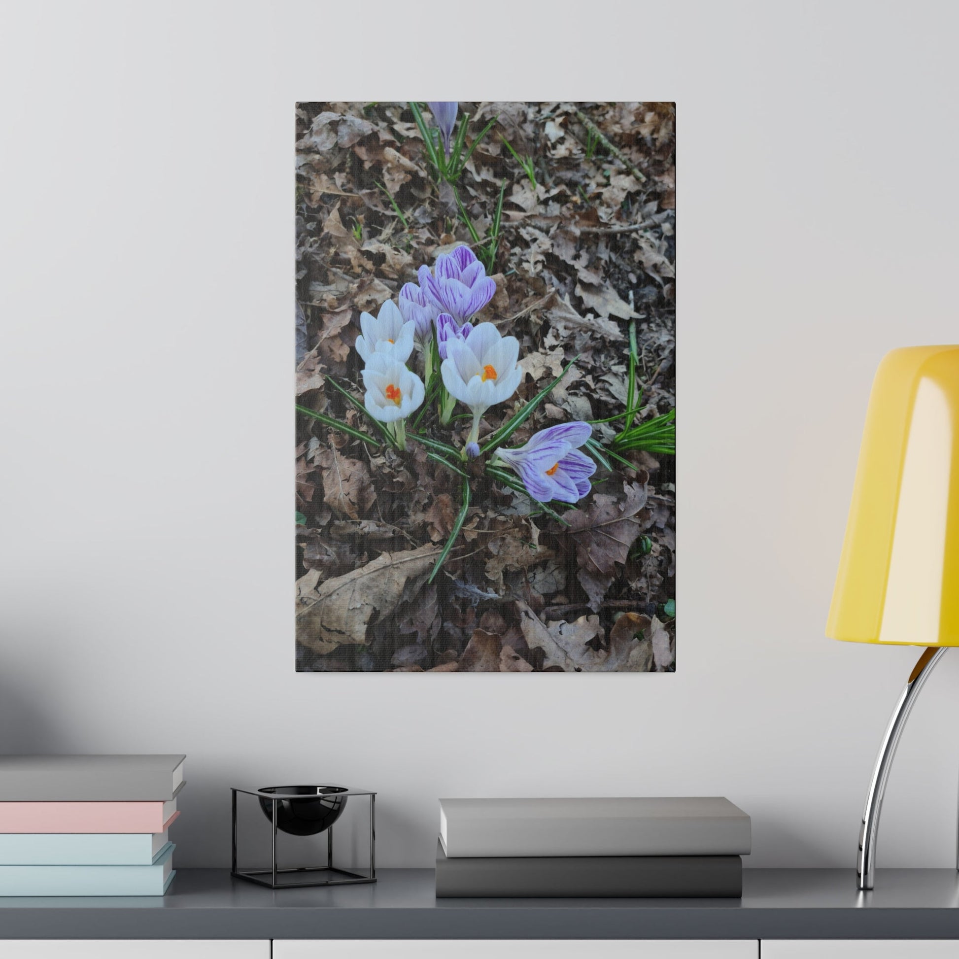 Mixed Colour Crocuses, Matte Canvas, Stretched, 0.75" - The Trio Synergize Group