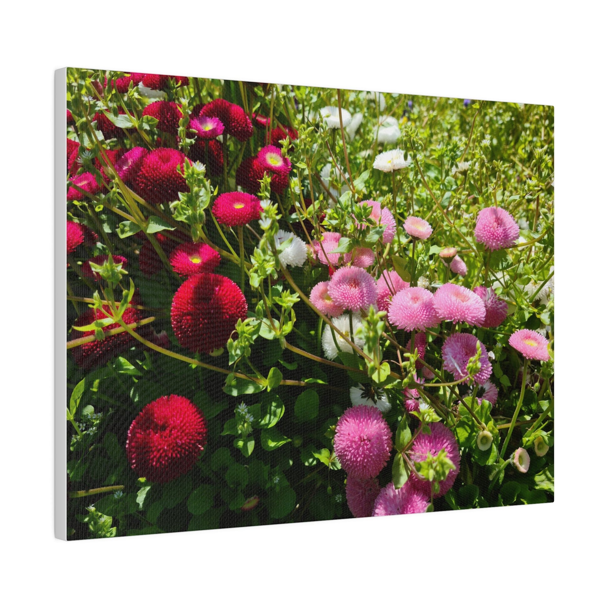 Mixed Colour Walldales, Matte Canvas, Stretched, 0.75" - The Trio Synergize Group