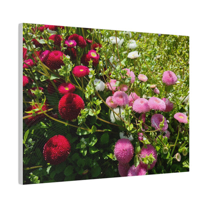 Mixed Colour Walldales, Matte Canvas, Stretched, 0.75" - The Trio Synergize Group