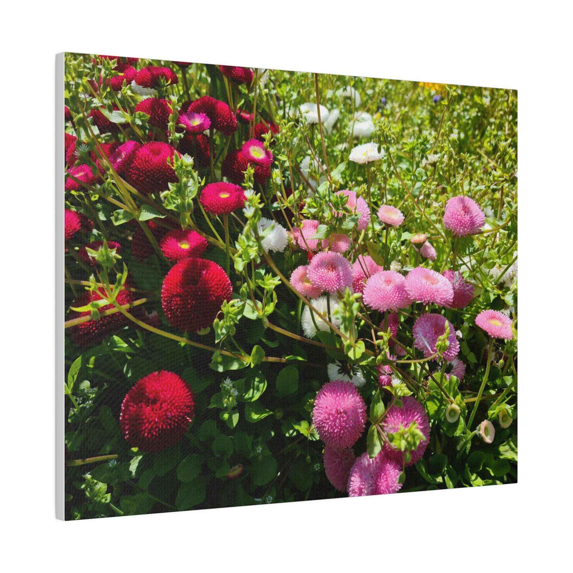 Mixed Colour Walldales, Matte Canvas, Stretched, 0.75" - The Trio Synergize Group
