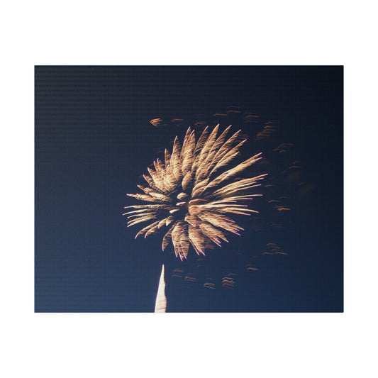 Orange Firework Matte Canvas Print - The Trio Synergize Group