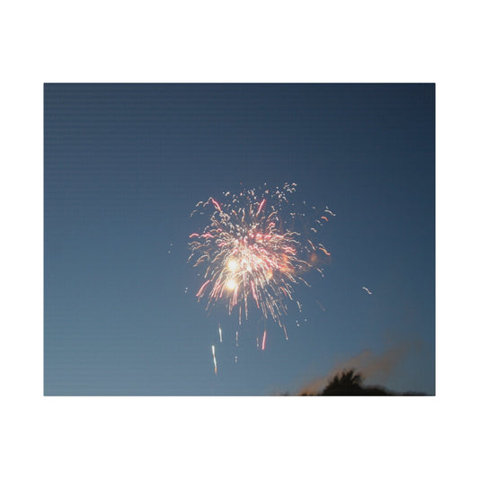 Orange Firework With Red Sparks Canvas - The Trio Synergize Group