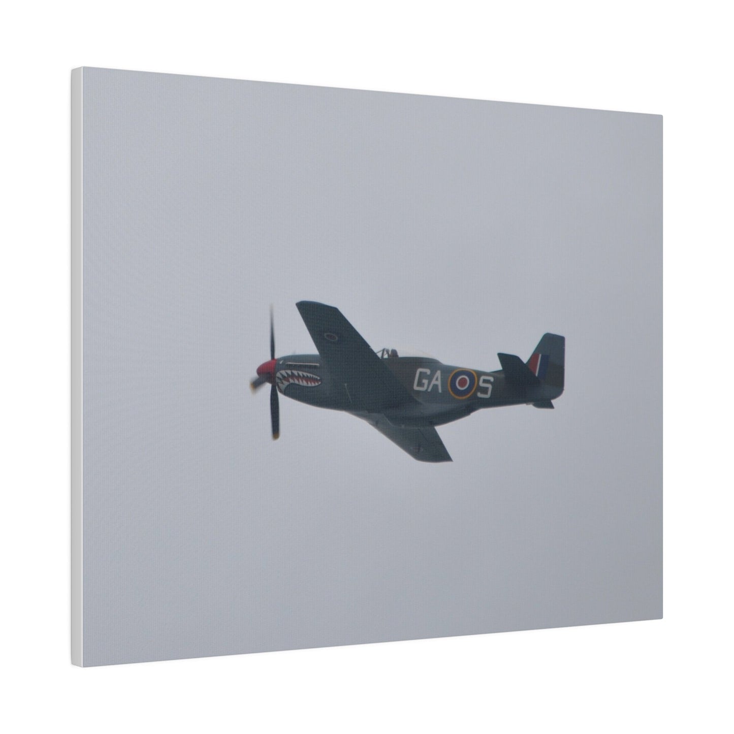 P - 51D Mustang Flying From The Right Side View, Matte Canvas, Stretched, 0.75" - The Trio Synergize Group