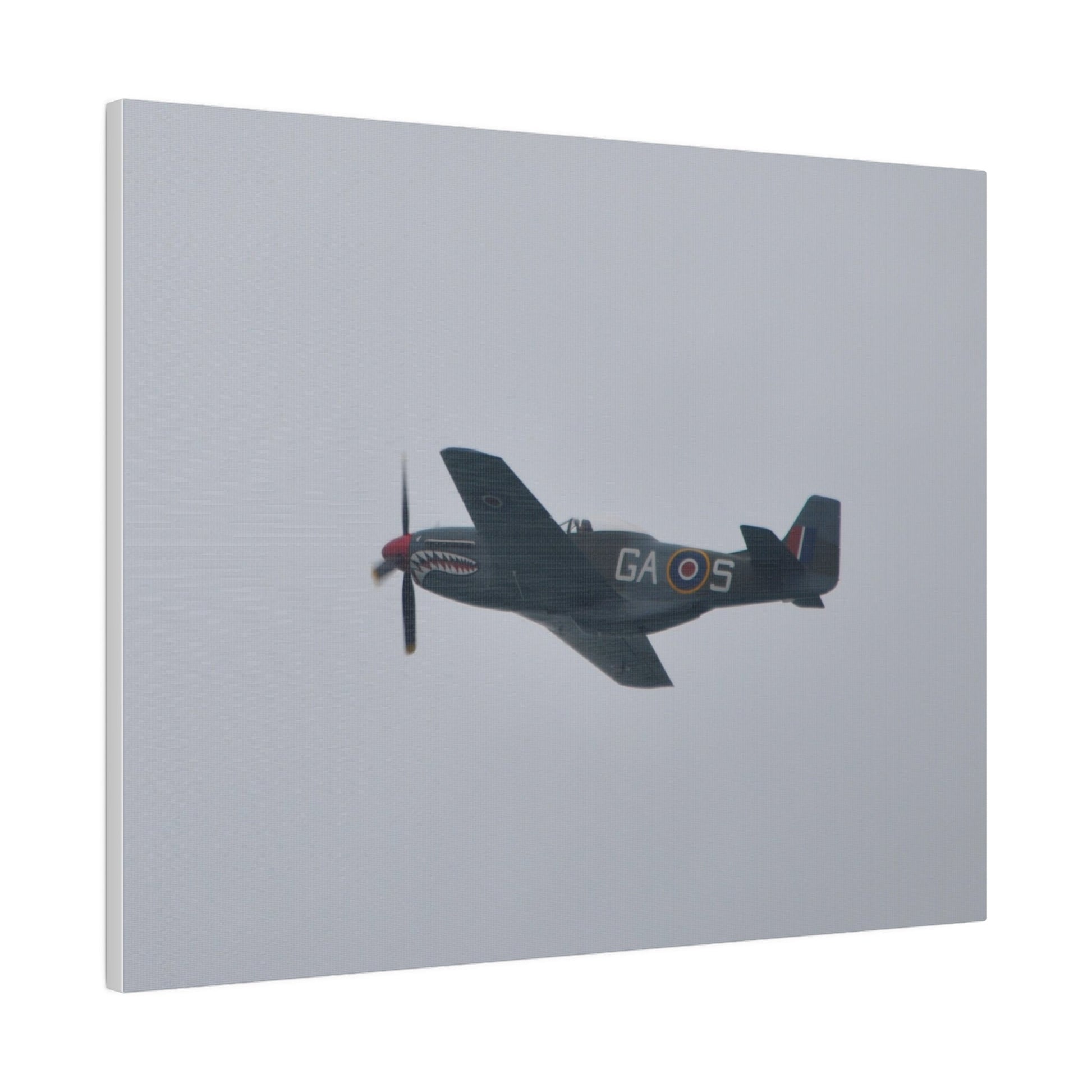 P - 51D Mustang Flying From The Right Side View, Matte Canvas, Stretched, 0.75" - The Trio Synergize Group