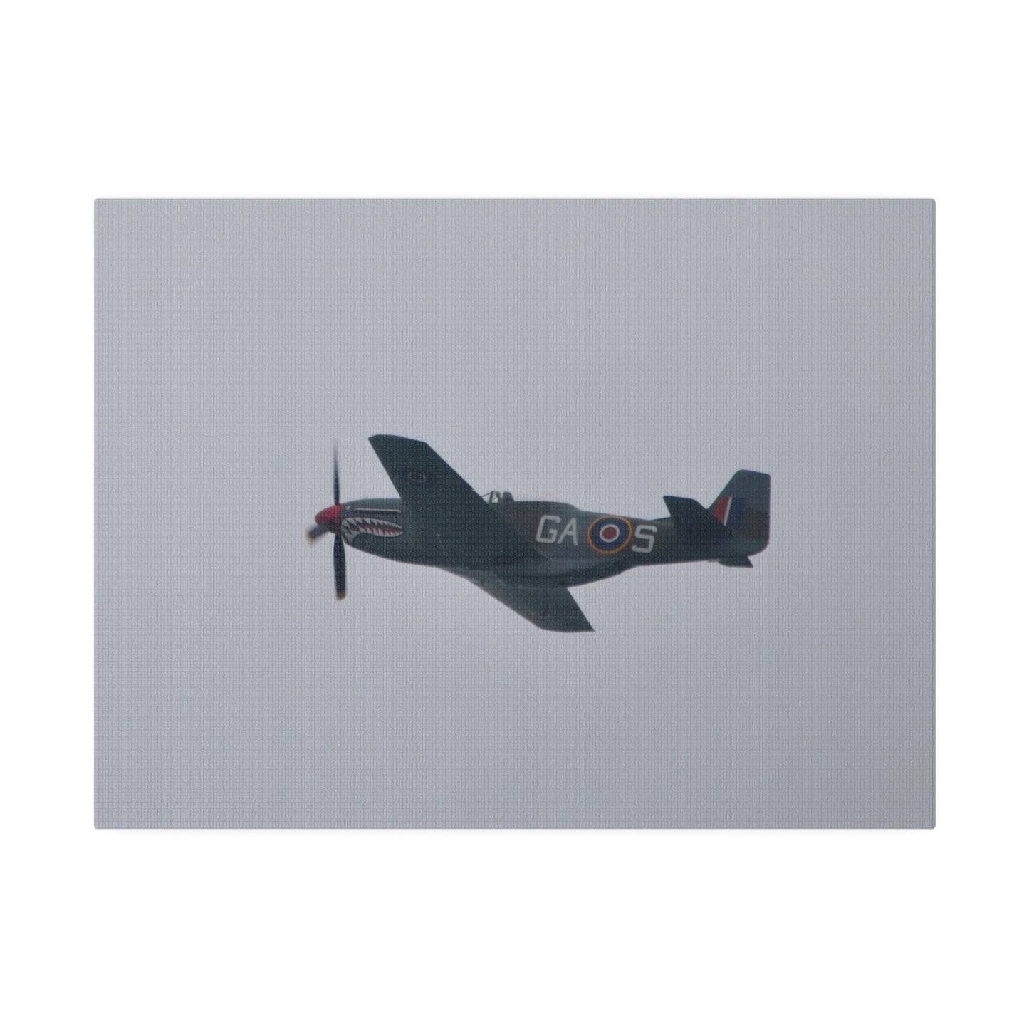 P - 51D Mustang Flying From The Right Side View, Matte Canvas, Stretched, 0.75" - The Trio Synergize Group