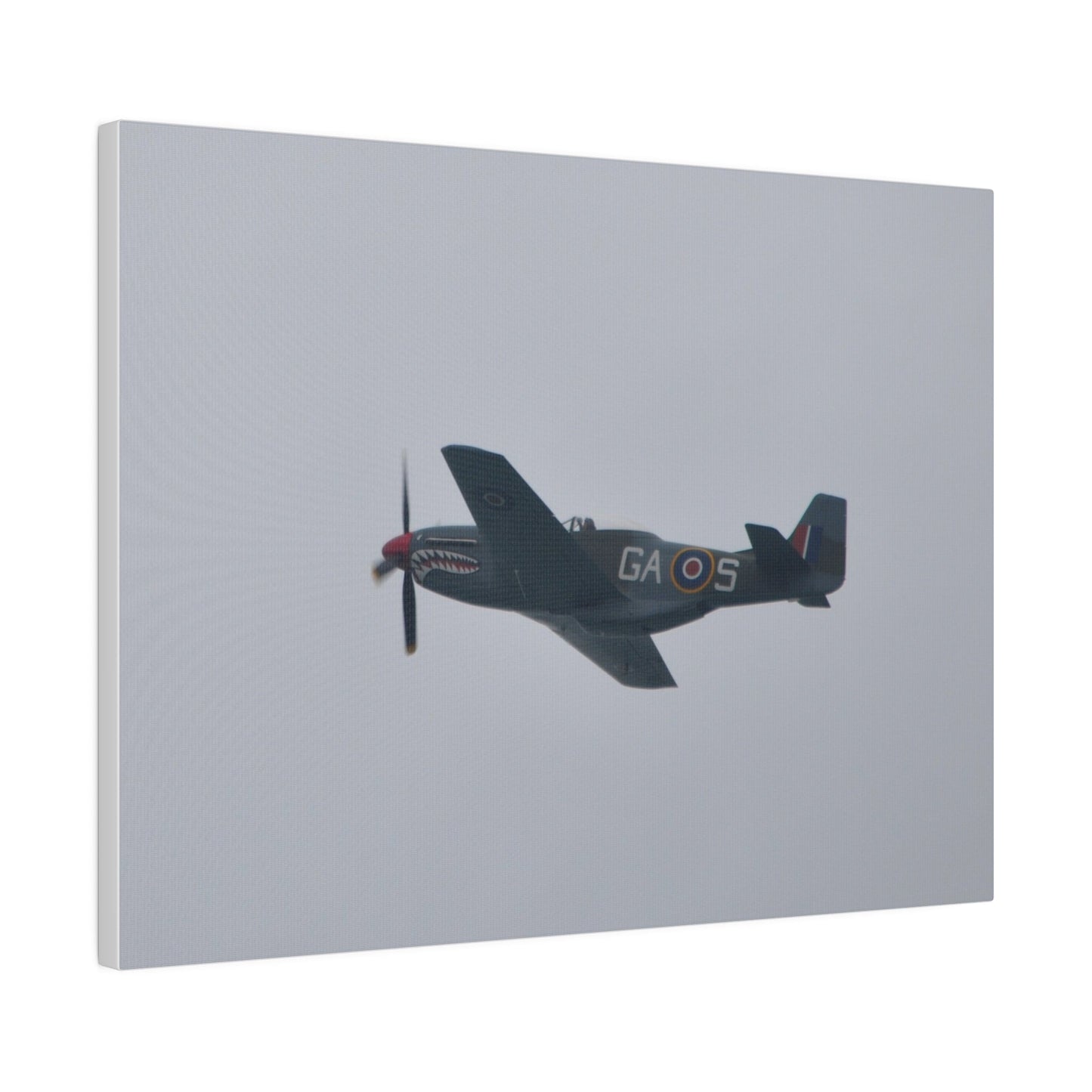 P - 51D Mustang Flying From The Right Side View, Matte Canvas, Stretched, 0.75" - The Trio Synergize Group