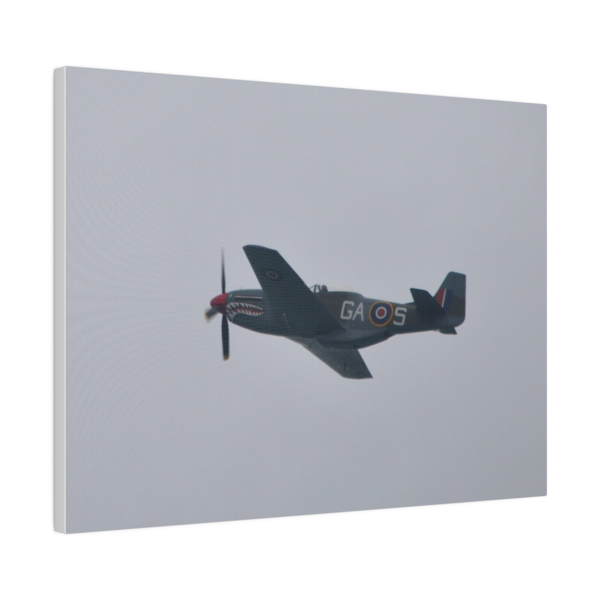 P - 51D Mustang Flying From The Right Side View, Matte Canvas, Stretched, 0.75" - The Trio Synergize Group