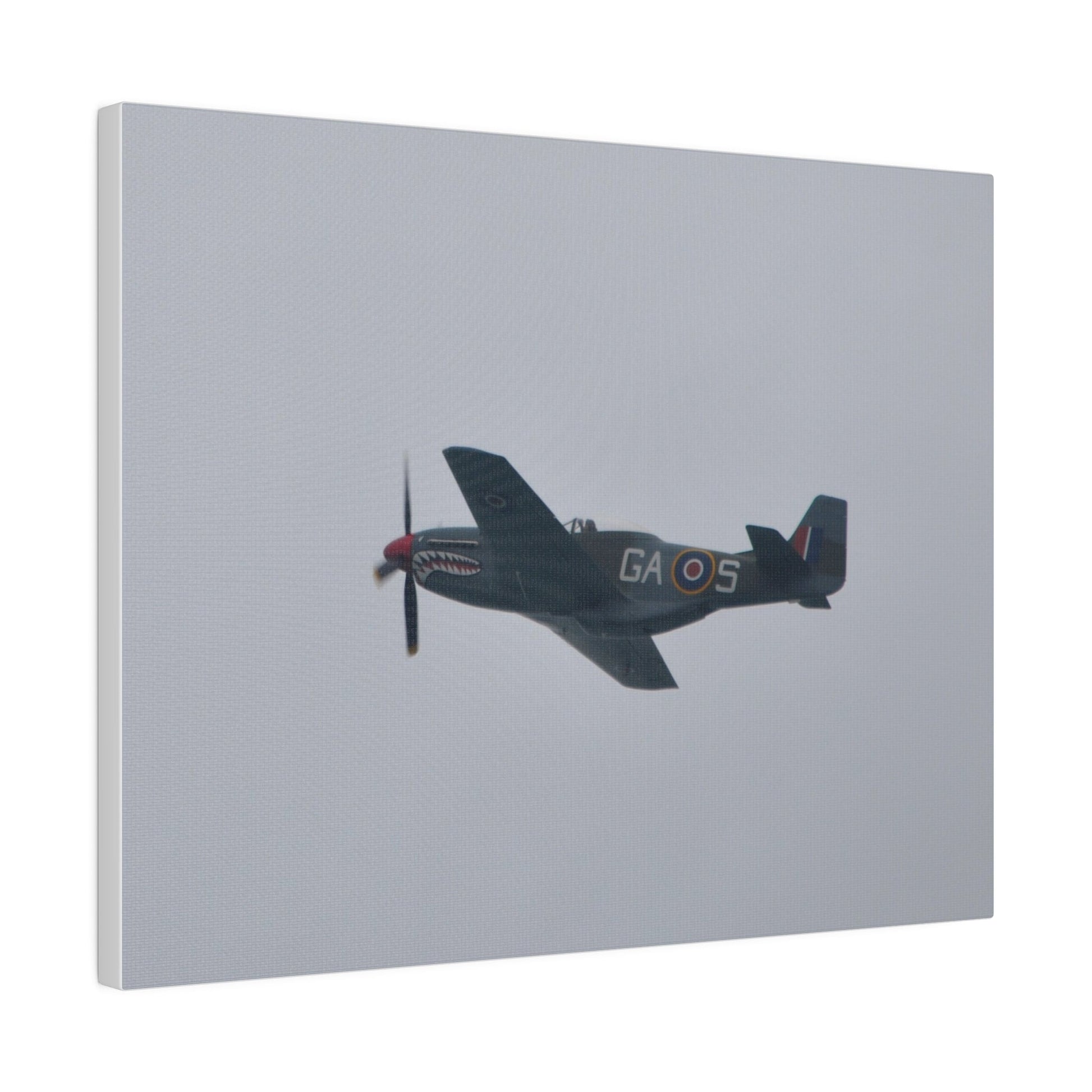 P - 51D Mustang Flying From The Right Side View, Matte Canvas, Stretched, 0.75" - The Trio Synergize Group