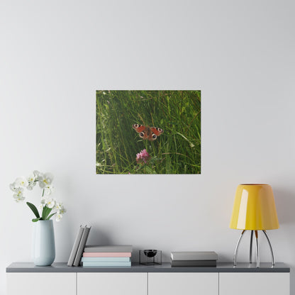 Peacock Butterfly, Matte Canvas, Stretched, 0.75" - The Trio Synergize Group