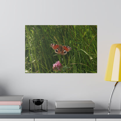 Peacock Butterfly, Matte Canvas, Stretched, 0.75" - The Trio Synergize Group