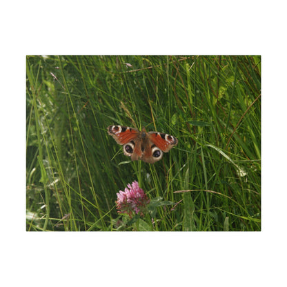 Peacock Butterfly, Matte Canvas, Stretched, 0.75" - The Trio Synergize Group