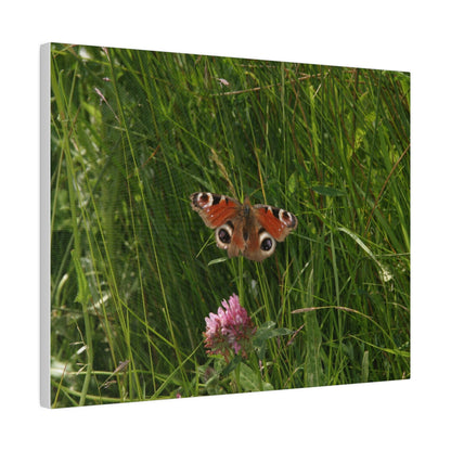 Peacock Butterfly, Matte Canvas, Stretched, 0.75" - The Trio Synergize Group