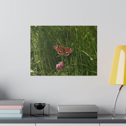 Peacock Butterfly, Matte Canvas, Stretched, 0.75" - The Trio Synergize Group