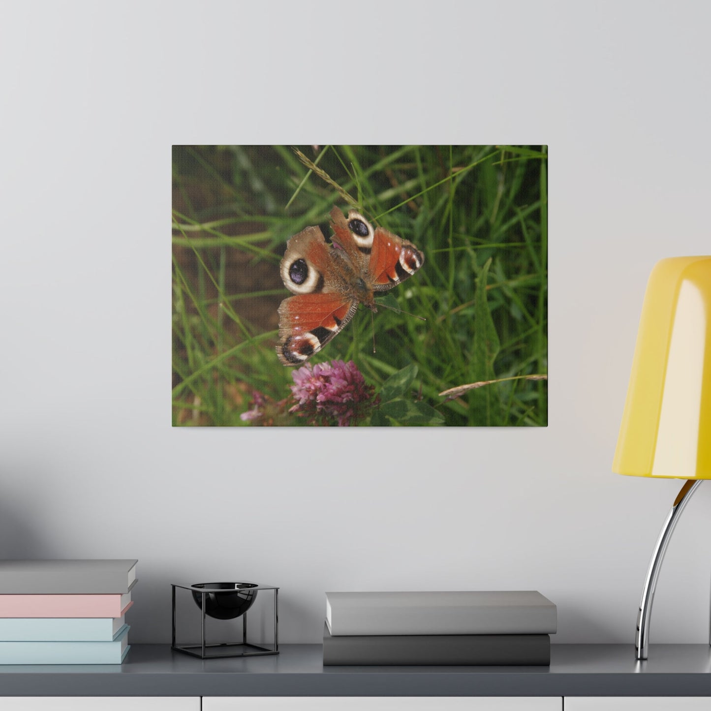Peacock Butterfly On A Flower, Matte Canvas, Stretched, 0.75" - The Trio Synergize Group