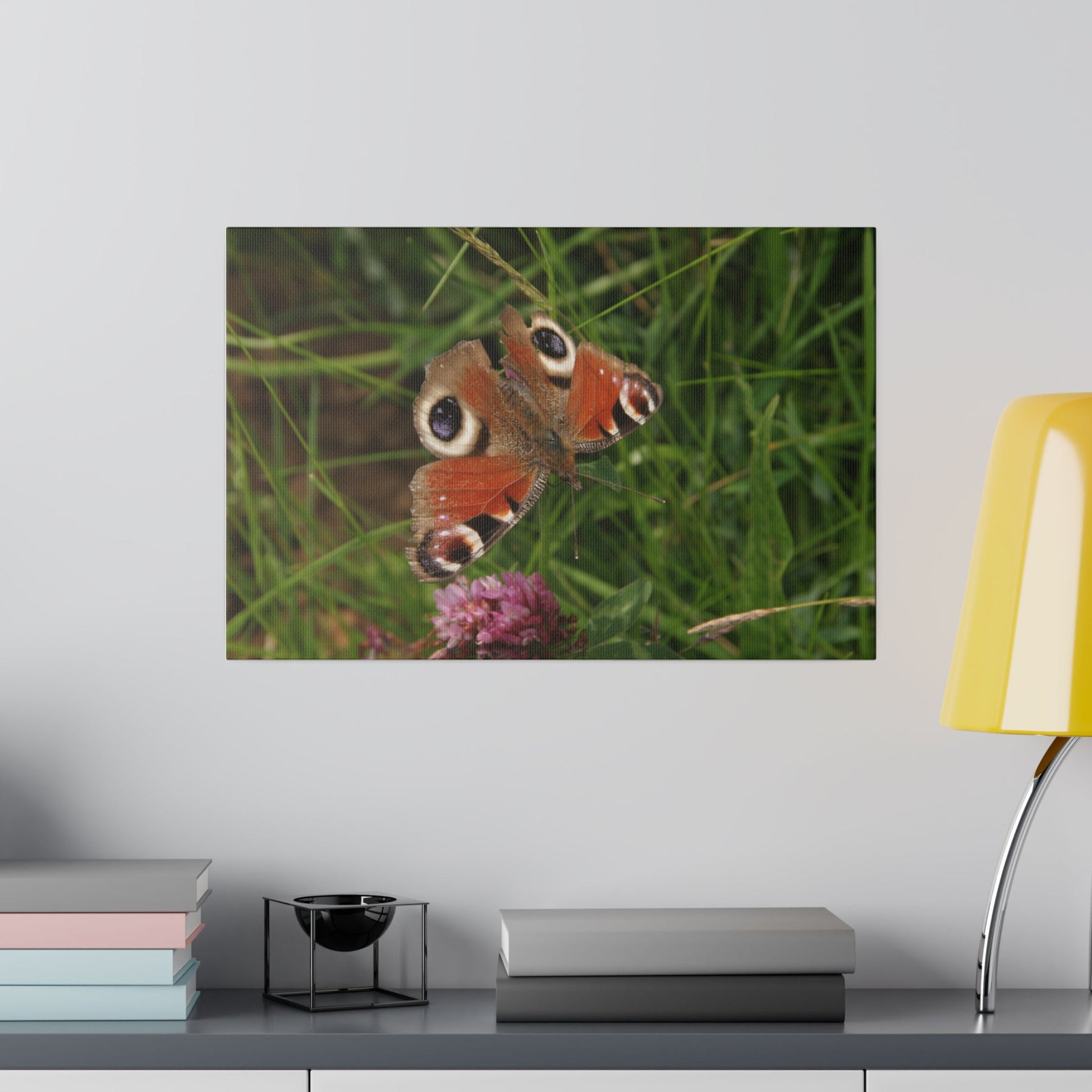 Peacock Butterfly On A Flower, Matte Canvas, Stretched, 0.75" - The Trio Synergize Group