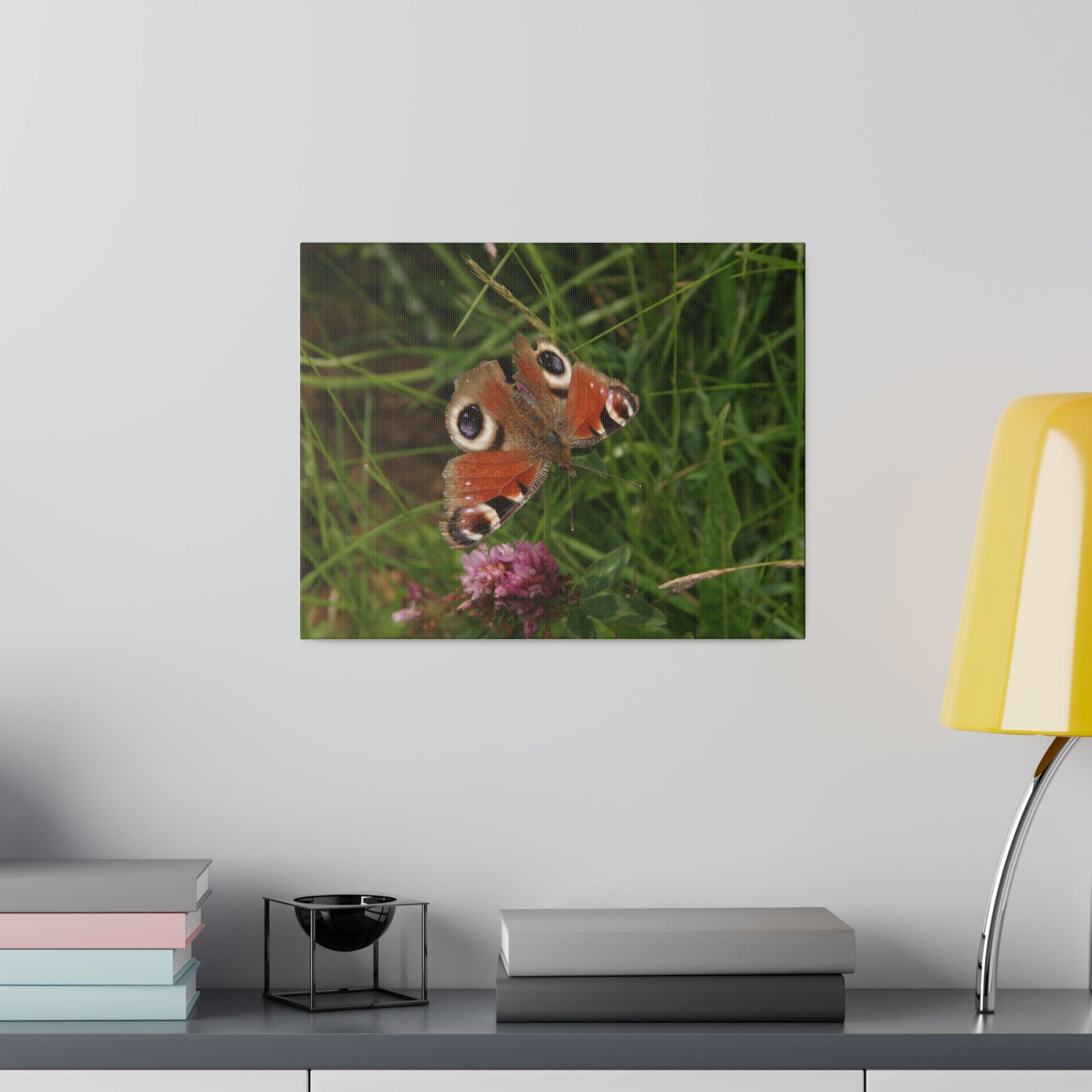 Peacock Butterfly On A Flower, Matte Canvas, Stretched, 0.75" - The Trio Synergize Group