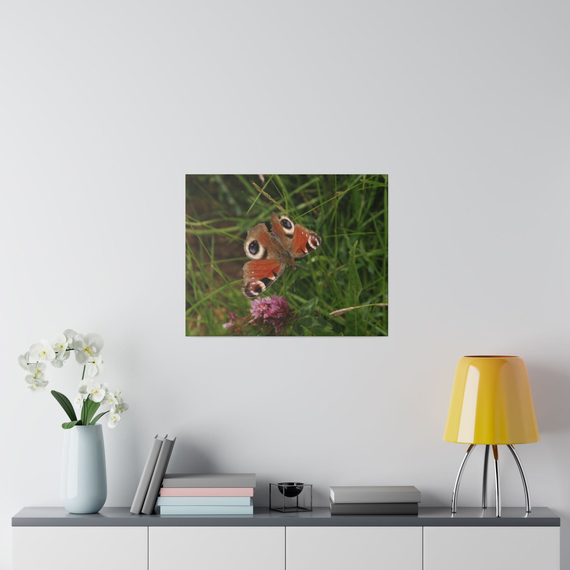 Peacock Butterfly On A Flower, Matte Canvas, Stretched, 0.75" - The Trio Synergize Group