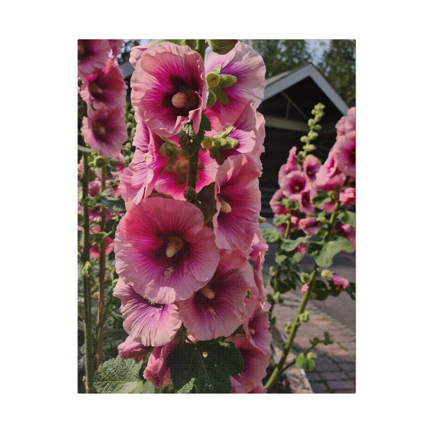 Pink Hollyhock, Matte Canvas, Stretched, 0.75" - The Trio Synergize Group
