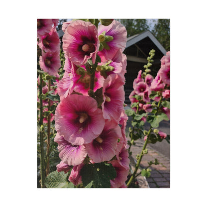 Pink Hollyhock, Matte Canvas, Stretched, 0.75" - The Trio Synergize Group