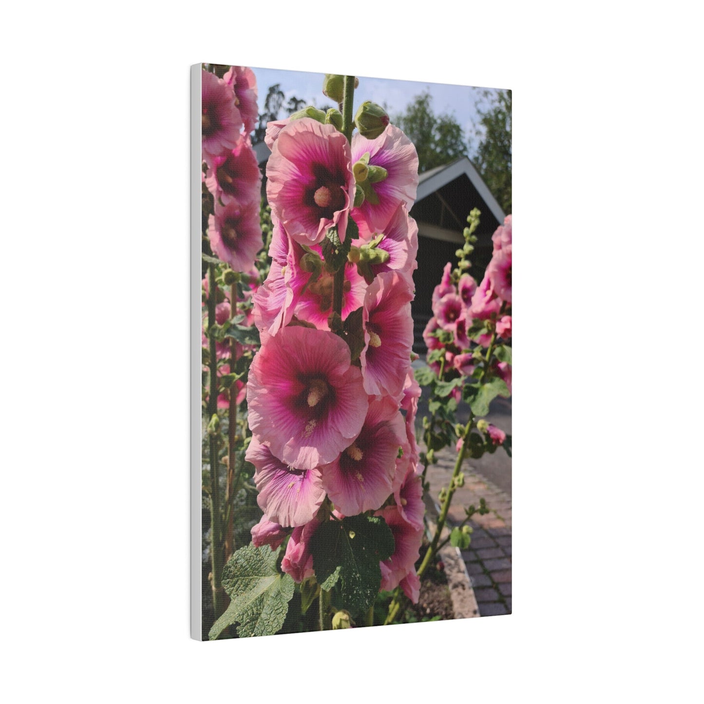Pink Hollyhock, Matte Canvas, Stretched, 0.75" - The Trio Synergize Group