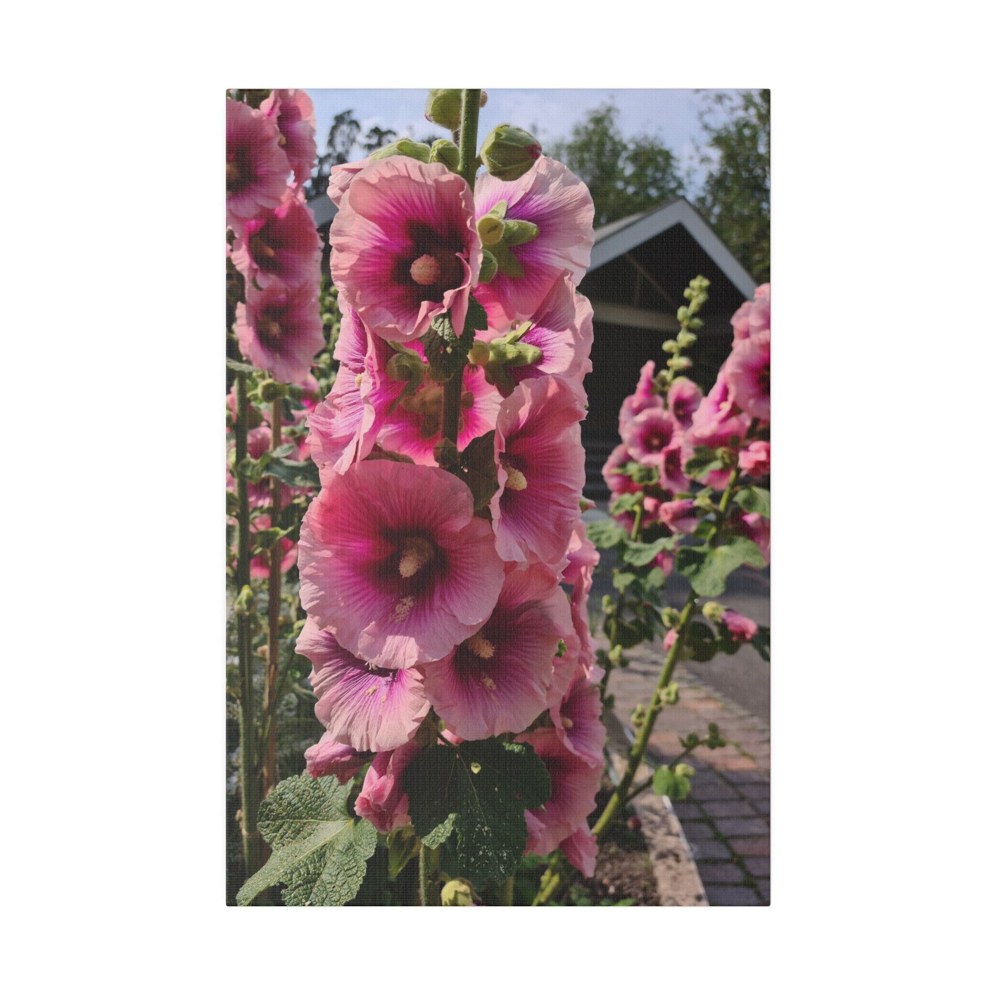 Pink Hollyhock, Matte Canvas, Stretched, 0.75" - The Trio Synergize Group