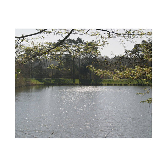 Scenic Shot Of A Lake And Trees Canvas - The Trio Synergize Group