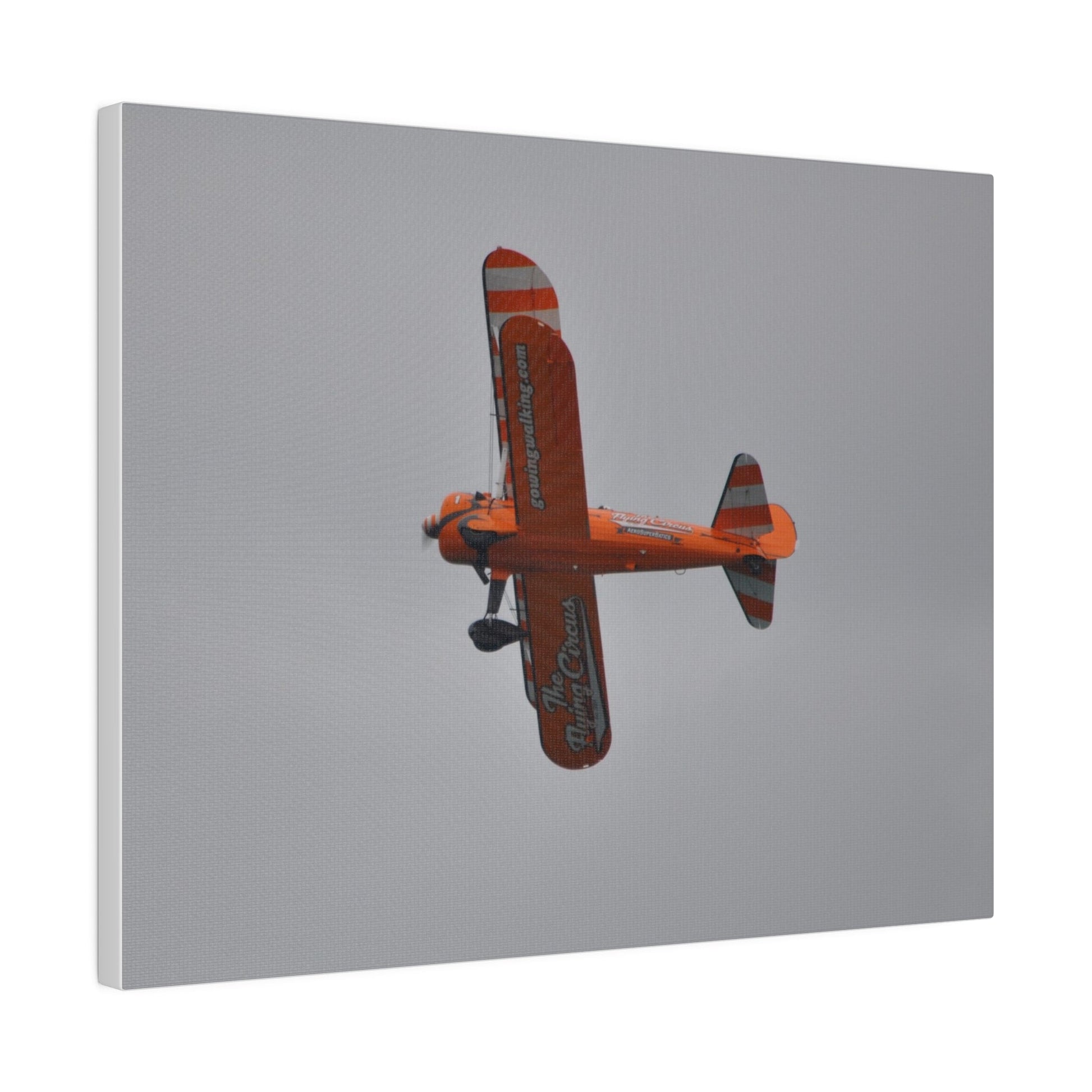 Single Wing Walker Flying From The Right With A View Of The Undercarriage Close Up, Matte Canvas, Stretched, 0.75" - The Trio Synergize Group