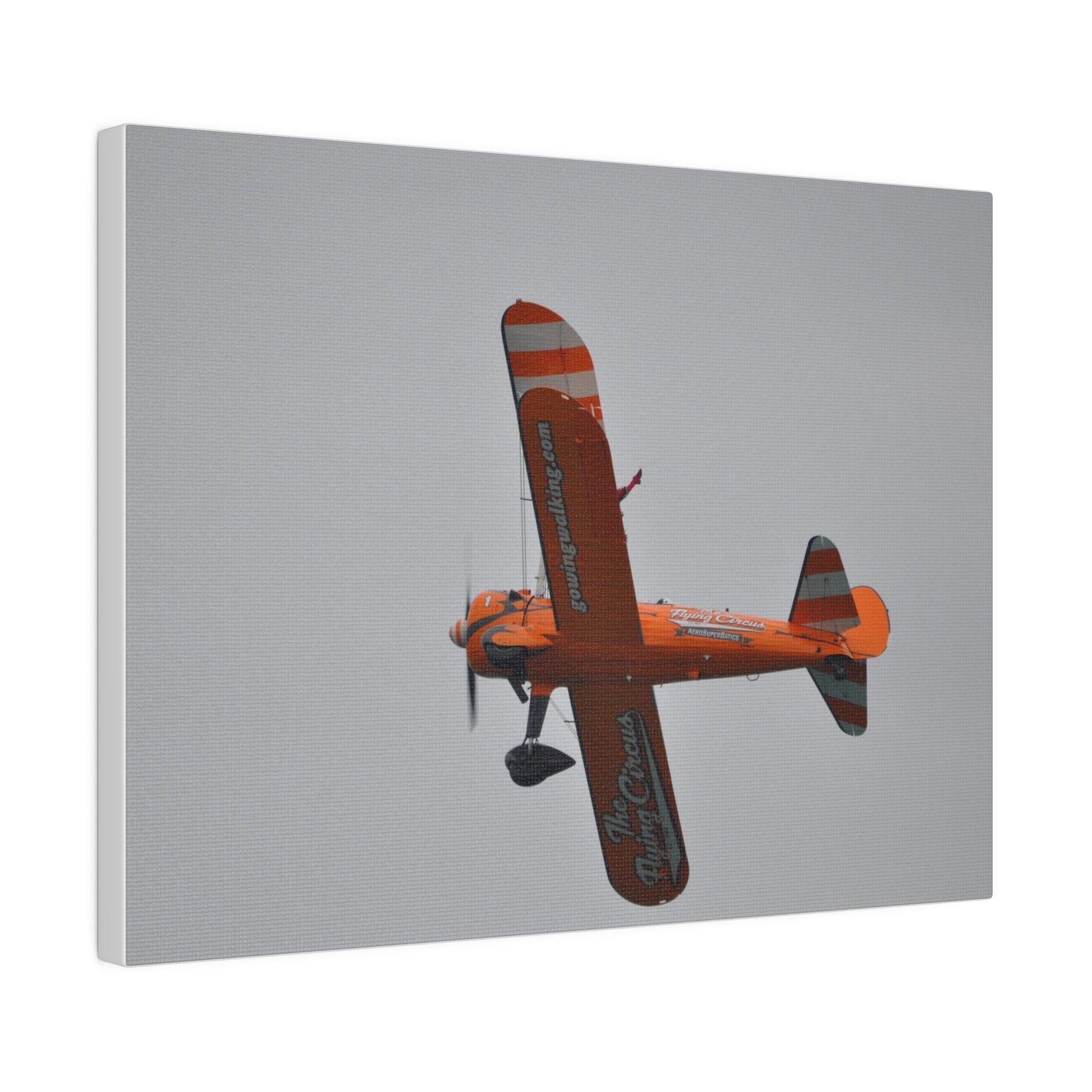 Single Wing Walker Flying From The Right With A View Of The Undercarriage Close Up, Matte Canvas, Stretched, 0.75" - The Trio Synergize Group