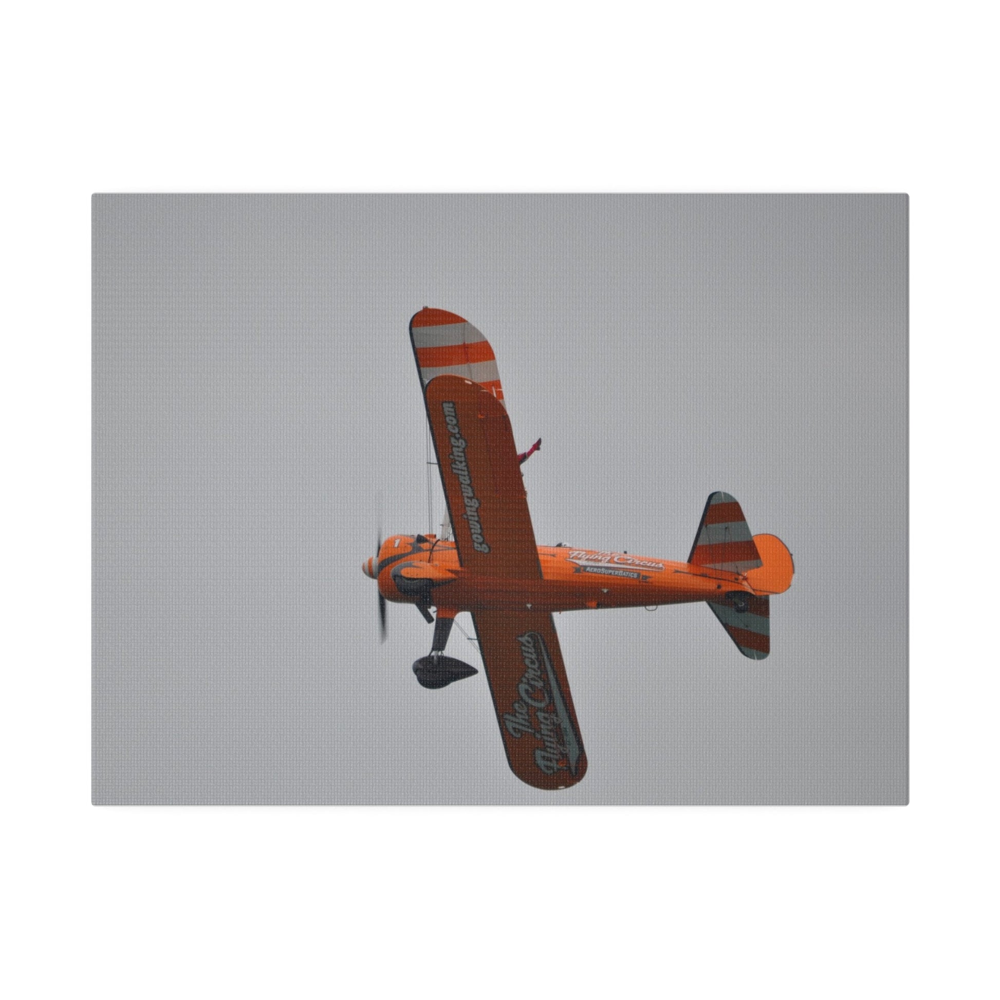 Single Wing Walker Flying From The Right With A View Of The Undercarriage Close Up, Matte Canvas, Stretched, 0.75" - The Trio Synergize Group