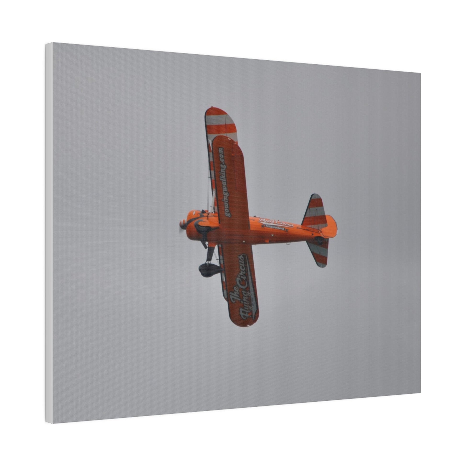 Single Wing Walker Flying From The Right With A View Of The Undercarriage Close Up, Matte Canvas, Stretched, 0.75" - The Trio Synergize Group