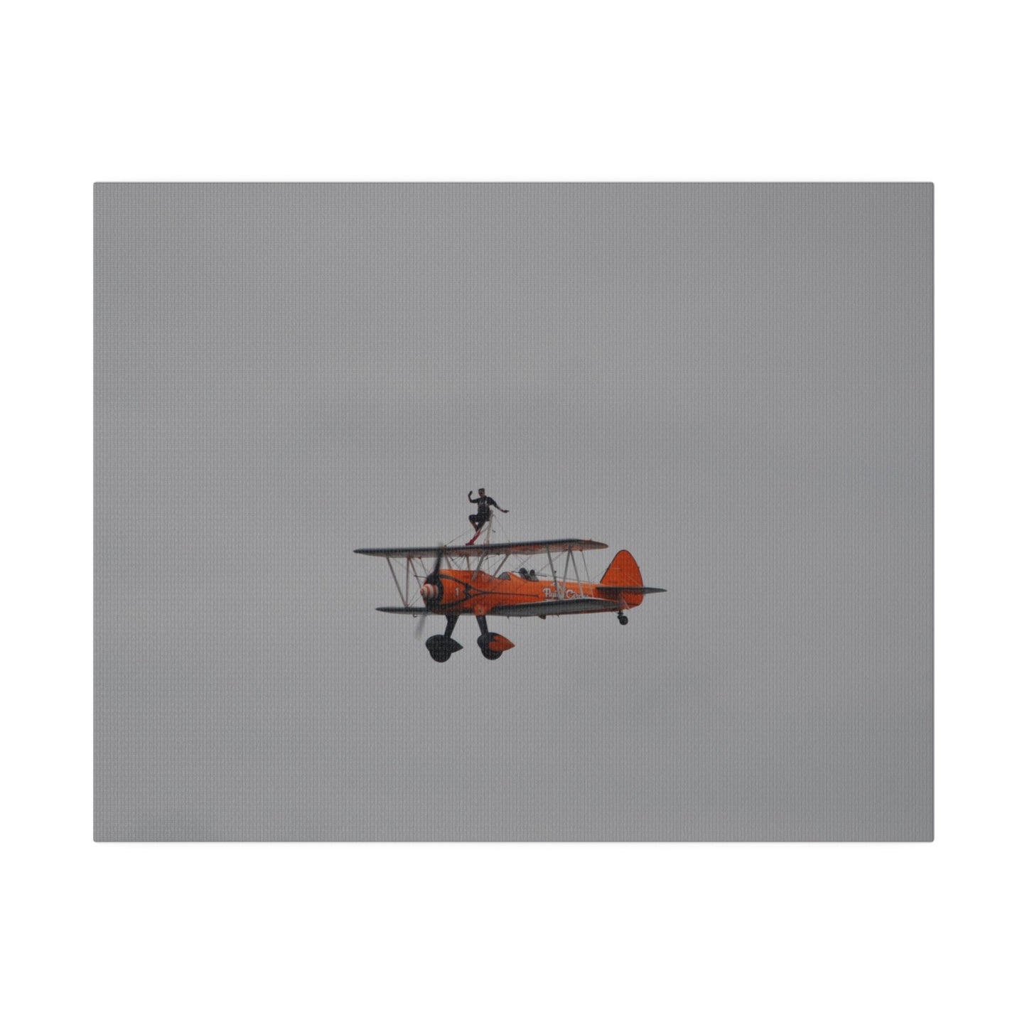 Single Wing Walker Flying From The Right With Front And Side View Close Up, Matte Canvas, Stretched, 0.75" - The Trio Synergize Group