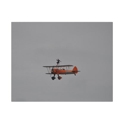 Single Wing Walker Flying From The Right With Front And Side View Close Up, Matte Canvas, Stretched, 0.75" - The Trio Synergize Group