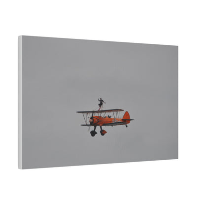 Single Wing Walker Flying From The Right With Front And Side View Close Up, Matte Canvas, Stretched, 0.75" - The Trio Synergize Group