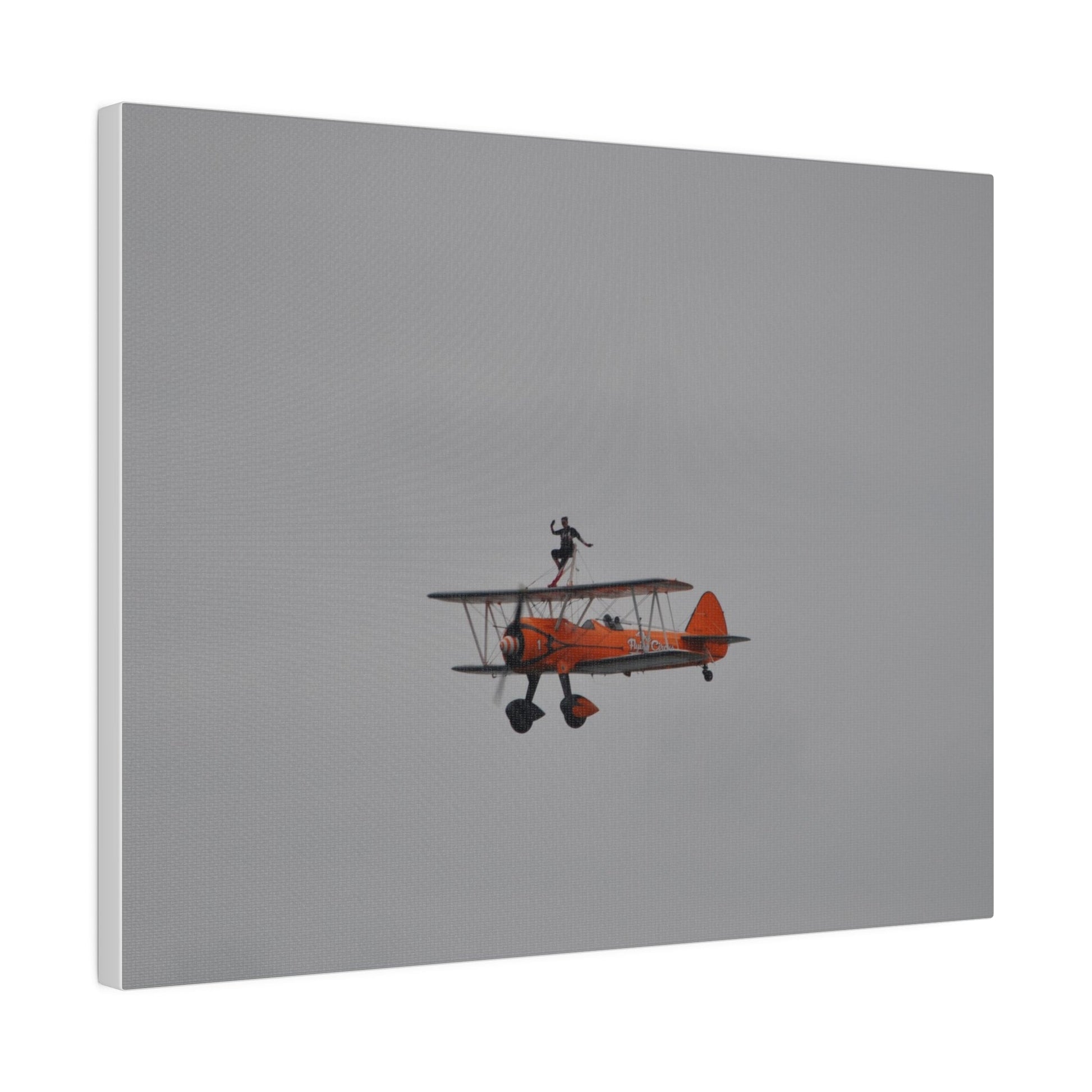 Single Wing Walker Flying From The Right With Front And Side View Close Up, Matte Canvas, Stretched, 0.75" - The Trio Synergize Group