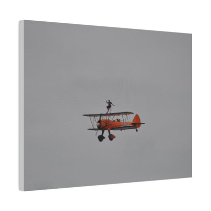 Single Wing Walker Flying From The Right With Front And Side View Close Up, Matte Canvas, Stretched, 0.75" - The Trio Synergize Group