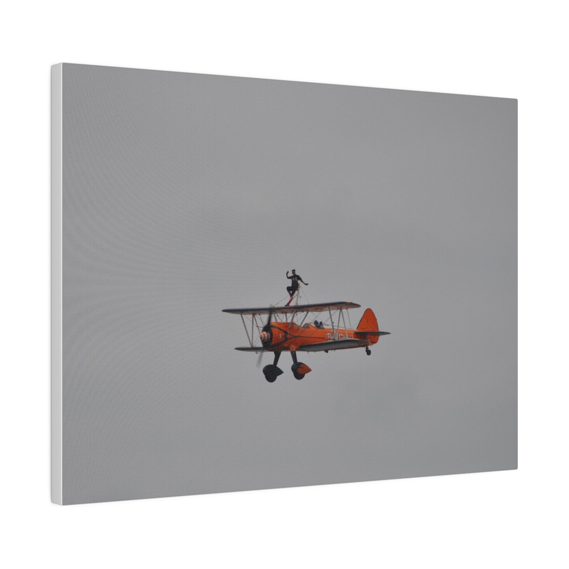 Single Wing Walker Flying From The Right With Front And Side View Close Up, Matte Canvas, Stretched, 0.75" - The Trio Synergize Group