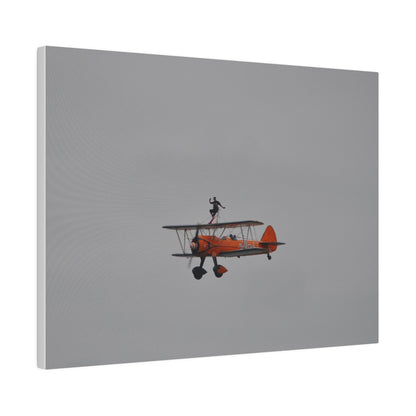 Single Wing Walker Flying From The Right With Front And Side View Close Up, Matte Canvas, Stretched, 0.75" - The Trio Synergize Group
