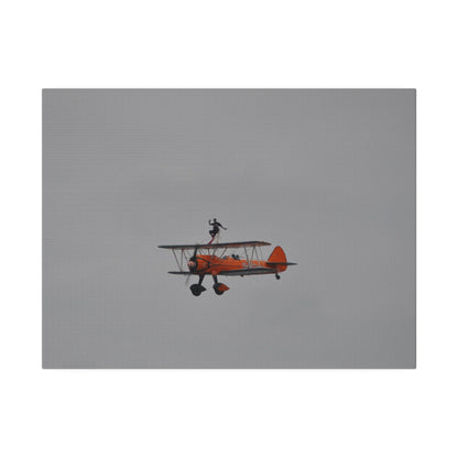 Single Wing Walker Flying From The Right With Front And Side View Close Up, Matte Canvas, Stretched, 0.75" - The Trio Synergize Group