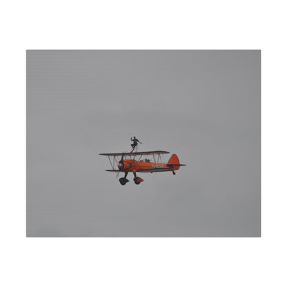 Single Wing Walker Flying From The Right With Front And Side View Close Up, Matte Canvas, Stretched, 0.75" - The Trio Synergize Group