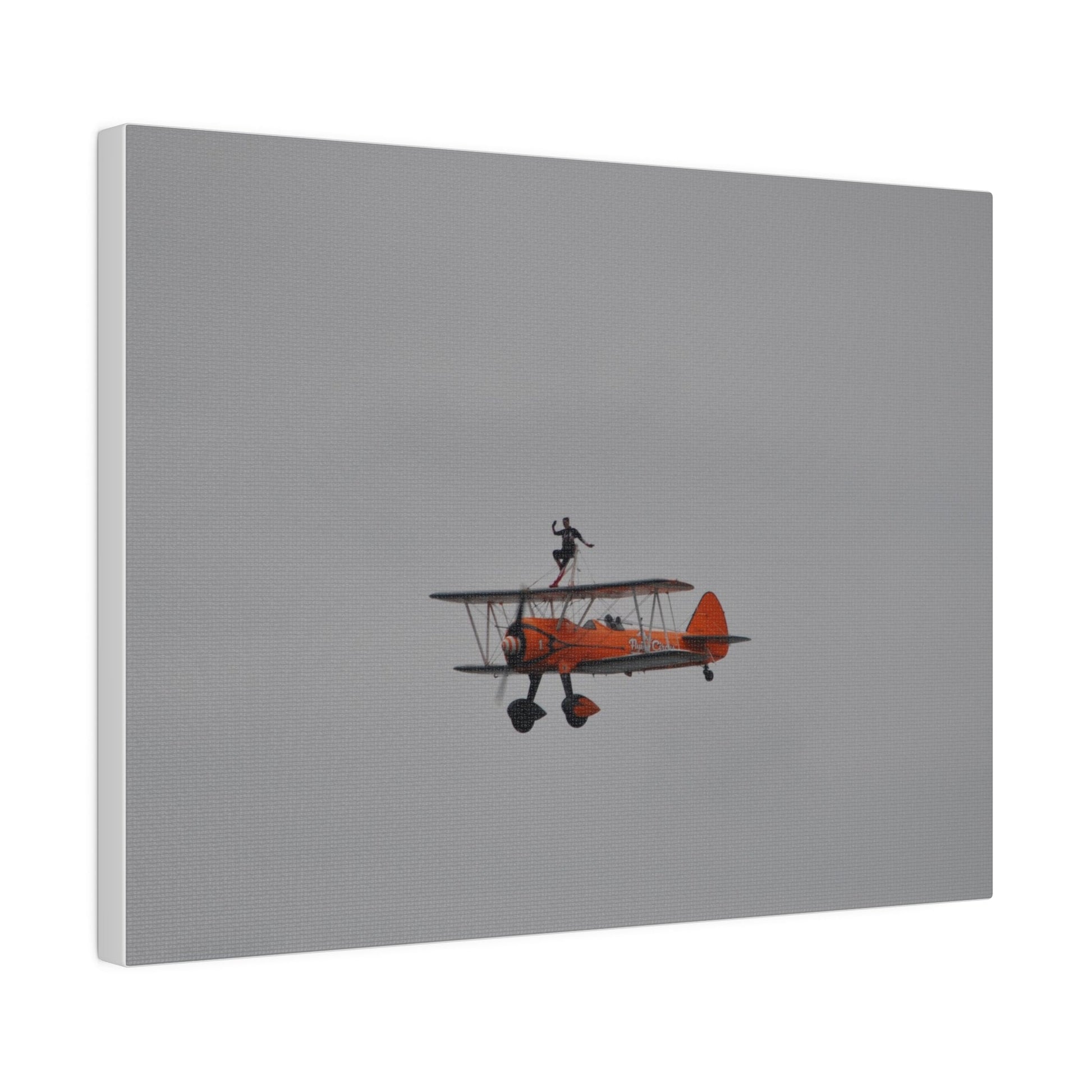 Single Wing Walker Flying From The Right With Front And Side View Close Up, Matte Canvas, Stretched, 0.75" - The Trio Synergize Group