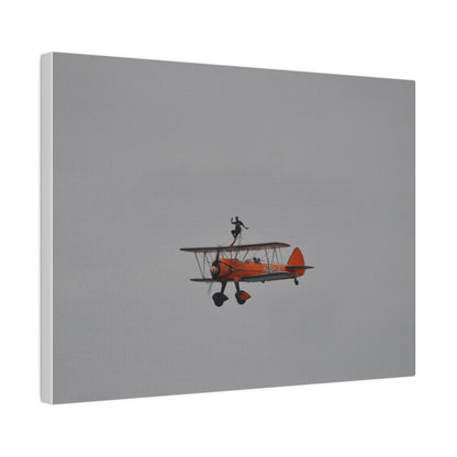 Single Wing Walker Flying From The Right With Front And Side View Close Up, Matte Canvas, Stretched, 0.75" - The Trio Synergize Group
