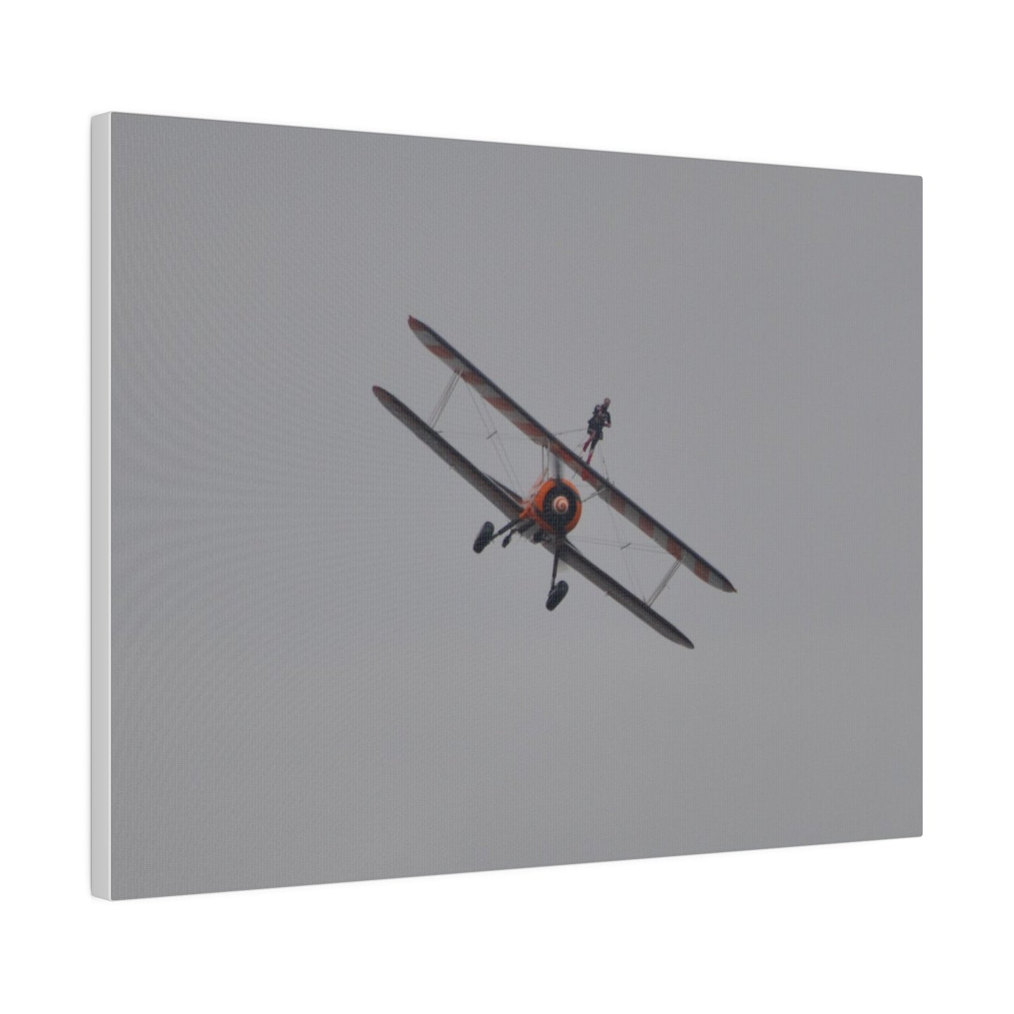 The Wing Walker Flying Forward, Front View Close Up Canvas - The Trio Synergize Group